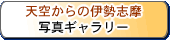 �V�󂩂�̈ɐ��u���ʐ^�M�������[